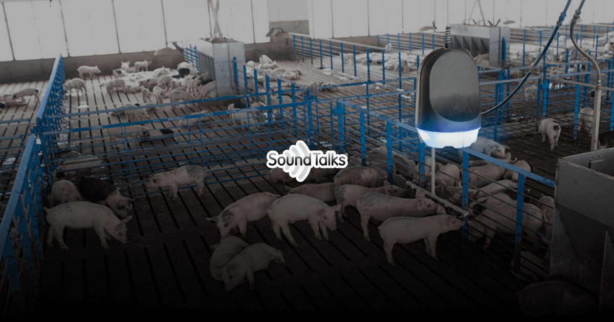 Early disease detection in pig farms through sound data and AI