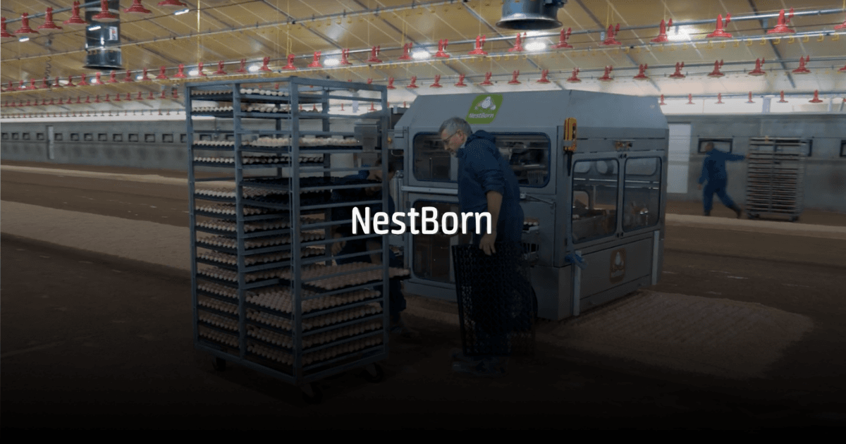 Monitoring the on-farm hatching process through IoT devices and data insights