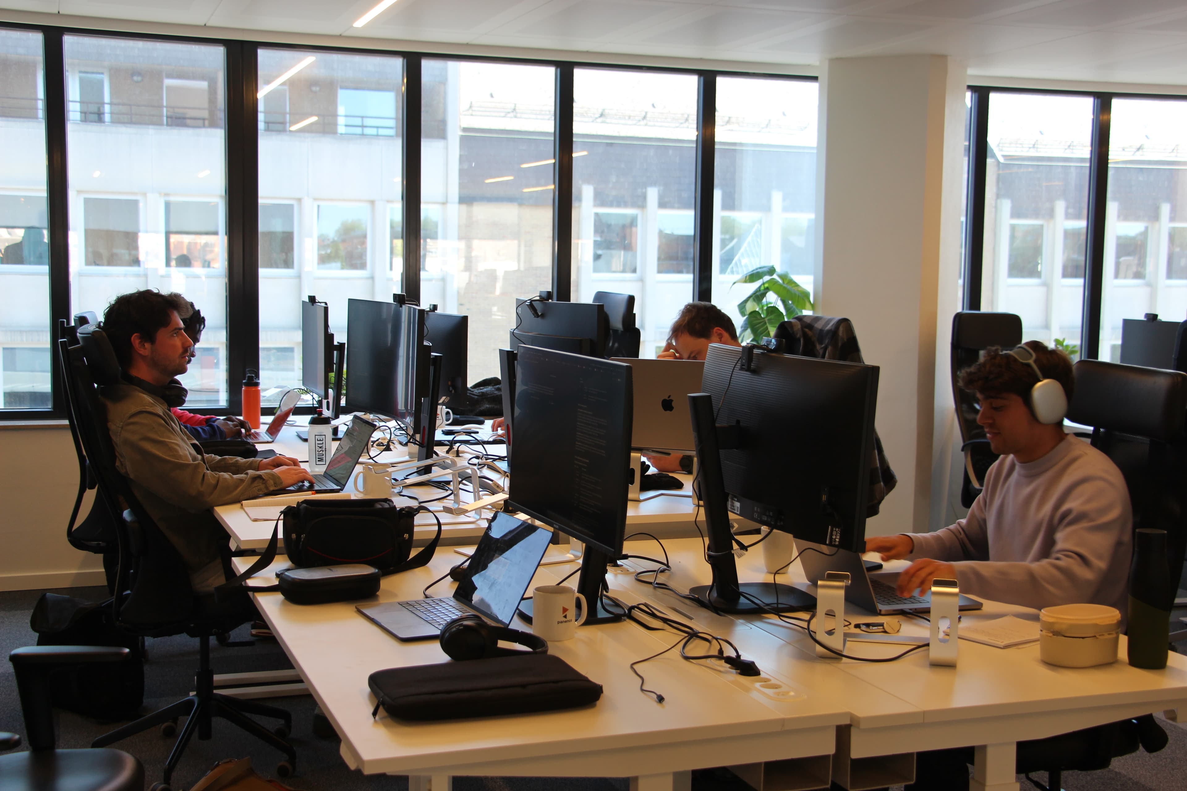 Panenco team at work — photo 16